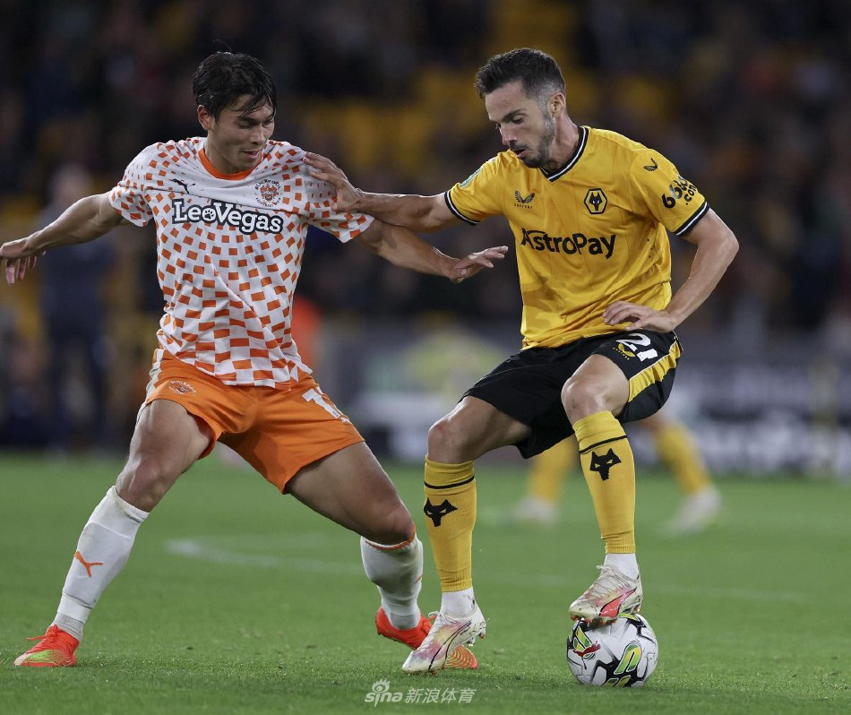 正好迎合了 正好迎合了